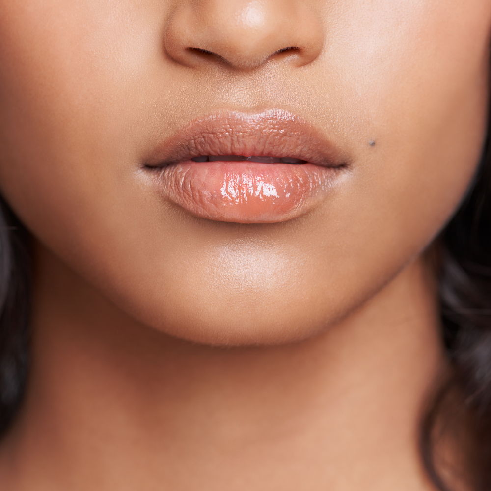 Lip Liner - Vermouth